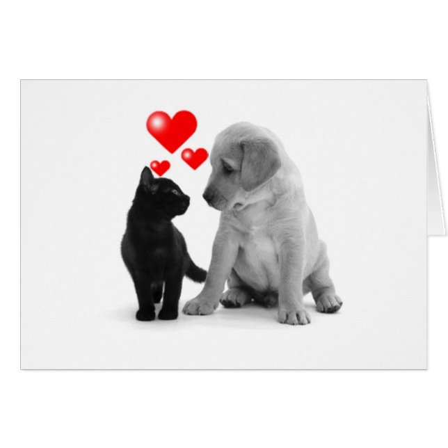 CERTAINS VOIENT DES ÉTOILES - JE VOIS DES COEURS À (Devant horizontal)