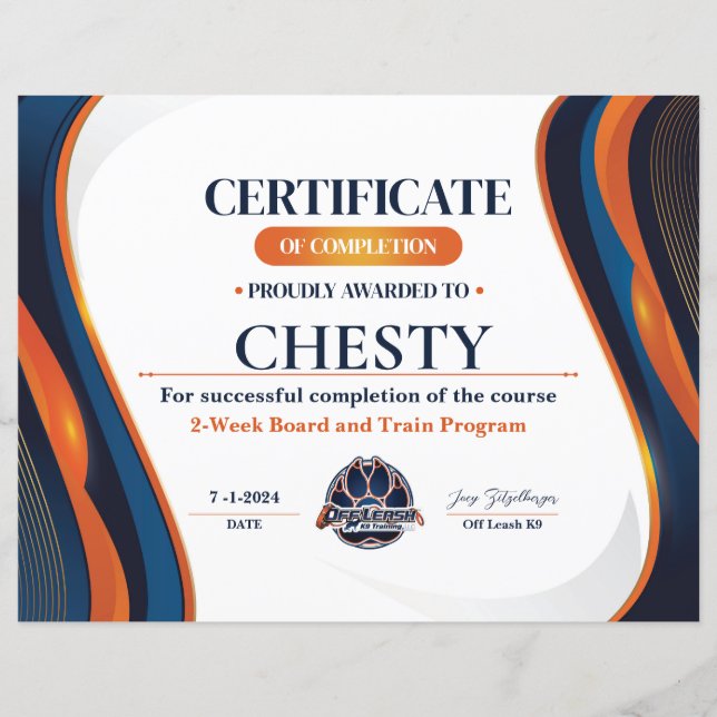 Certificat #13 (Devant)