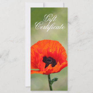 Certificat cadeau à la fleur de pavot rouge