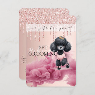 Certificat cadeau Chien Grooming Animaux Animaux d