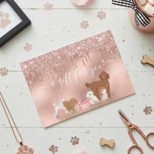 Certificat cadeau Chien Grooming Animaux Animaux d