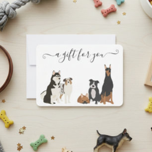 Certificat Cadeau Toilettage Chien Garderie Vétéri