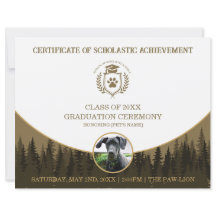 Certificat de fin d'études Chien Diplômé de dressa