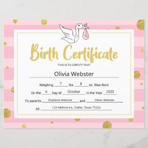 Certificat de jalon rose Certificat de naissance p