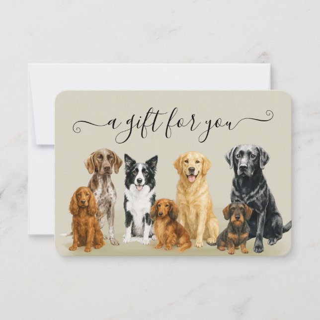 Certificat d'embarquement pour animaux de compagni (Devant)