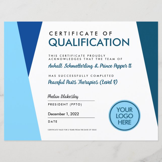 Certificat d'études supérieures de la Blue Therapy (Devant)