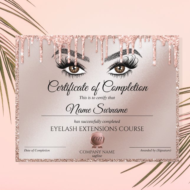 Certificate of Completion Award lashes course (Créateur téléchargé)