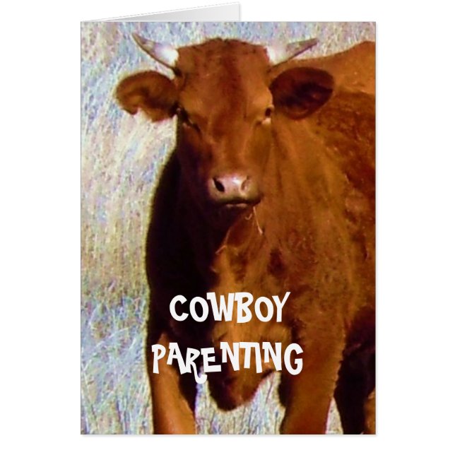 Cessez d'intimider #2 de 7 - Parenting de cowboy (Devant)
