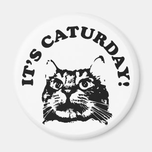 C'est aimant de Caturday