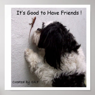 C'est bien d'avoir une affiche d'amis