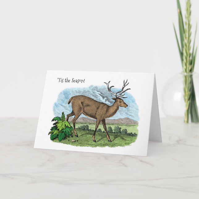 C'est la carte de Noël de la saison des Deer Hunte (Devant)