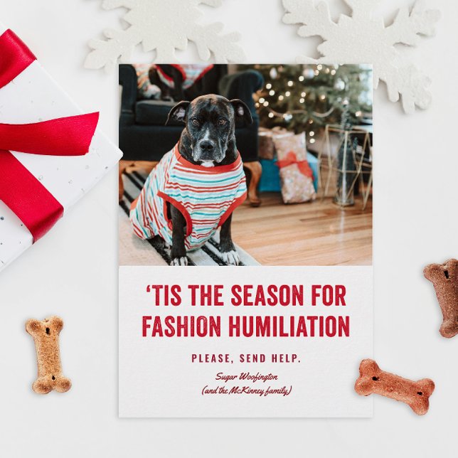 C'est la saison de Noël de l'humiliation (funny humor Christmas holiday photo cards for pets in ugly sweaters or costumes fashion)