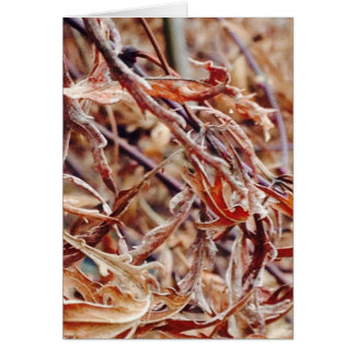 C'est l'automne, je pense à toi...