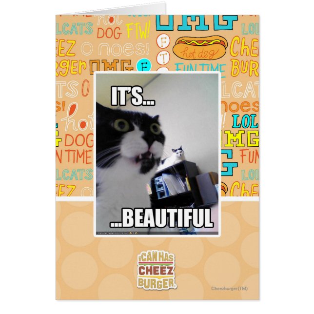 C'est magnifique (Devant)