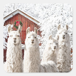 "C'est Noël !" Autocollants