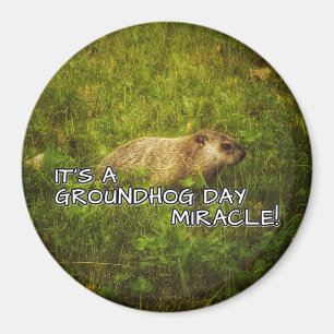 C'est un aimant de miracle de jour de groundhog