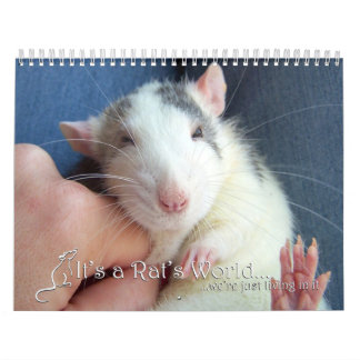 C'est un calendrier 2016 du monde de rat