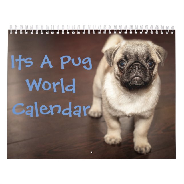 C'est un calendrier Carlin (Protection)