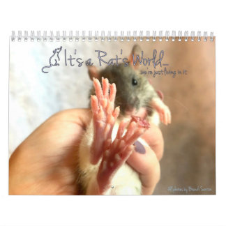 C'est un calendrier mondial de Rat