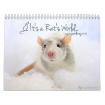 C'est un calendrier mondial de Rat