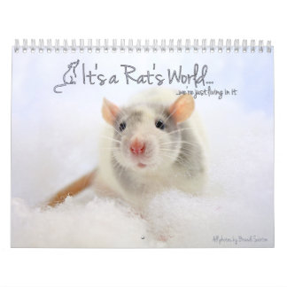 C'est un calendrier mondial de Rat