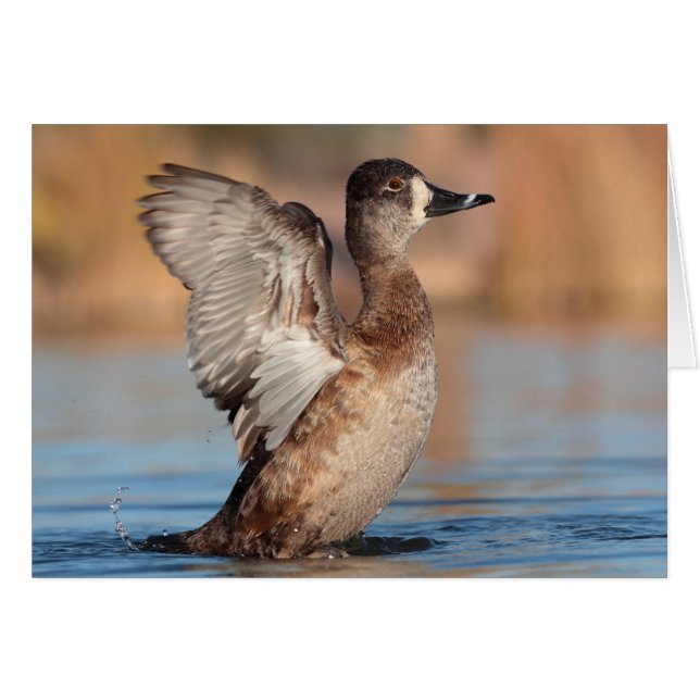 C'est un Flapper (Devant horizontal)