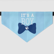 C'est un garçon nœud papillon bleu Annonce du sexe