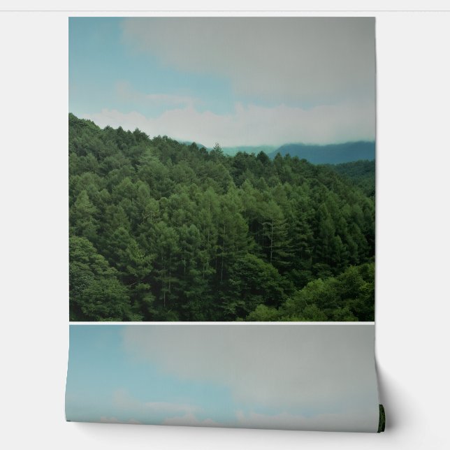 c'est un papier peint et autre produit. (Déroulement)