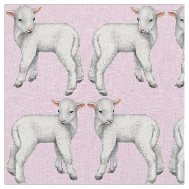 C'est un petit tissu d'agneau de bébé de fille (Fermer)