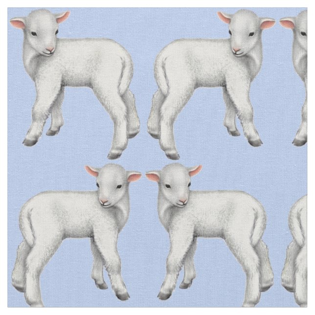 C'est un petit tissu d'agneau de bébé de garçon (Fermer)