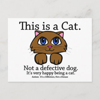 C'est une carte postale de chat