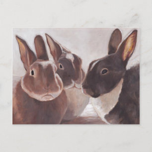"C'est une discussion de lapin" Carte postale