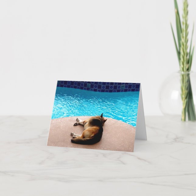 C'est une vie de chien ~ Carte / Invitations (Devant)