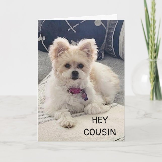 **C'EST VOTRE ANNIVERSAIRE ! ! !** CARTE "COUSIN" (Devant)