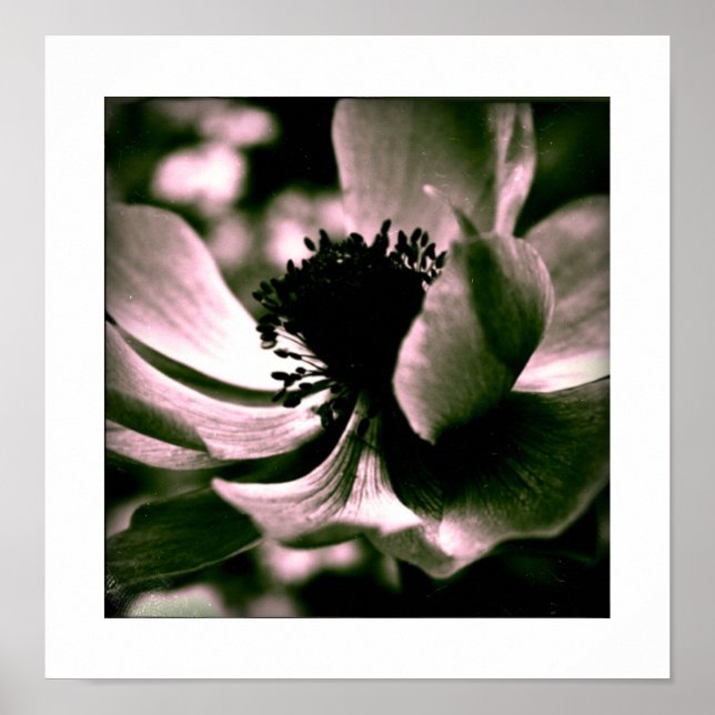 C'était une belle journée... Affiche funéraire (Devant)