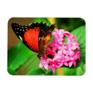 Cethosia biblis Premium Magnet