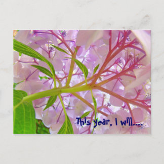 Cette année, je vais... cartes postales Hydrangeas