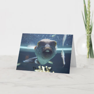 Cette carte de poisson à bec