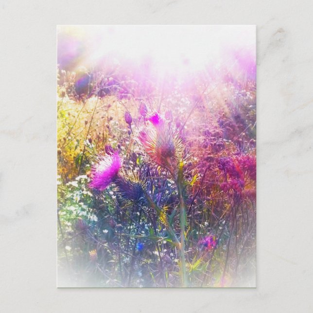 CETTE CARTE POSTALE (Devant)