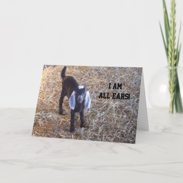 CETTE CHÈVRE EST "TOUTES LES OREILLES" - CARTE D'A (Devant)