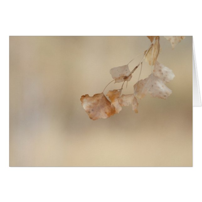 chaîne de feuilles d'or (Devant horizontal)