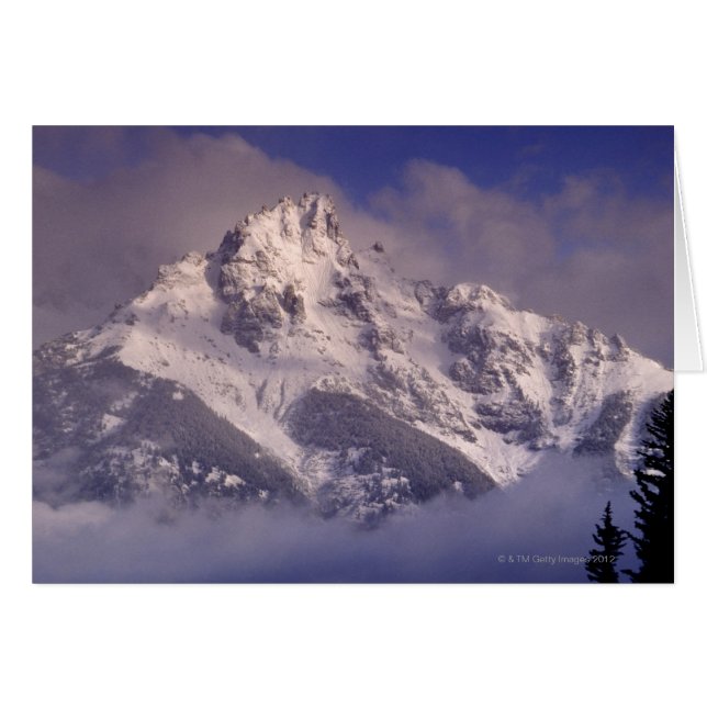 chaîne de montagnes du Denali, Alaska (Devant horizontal)