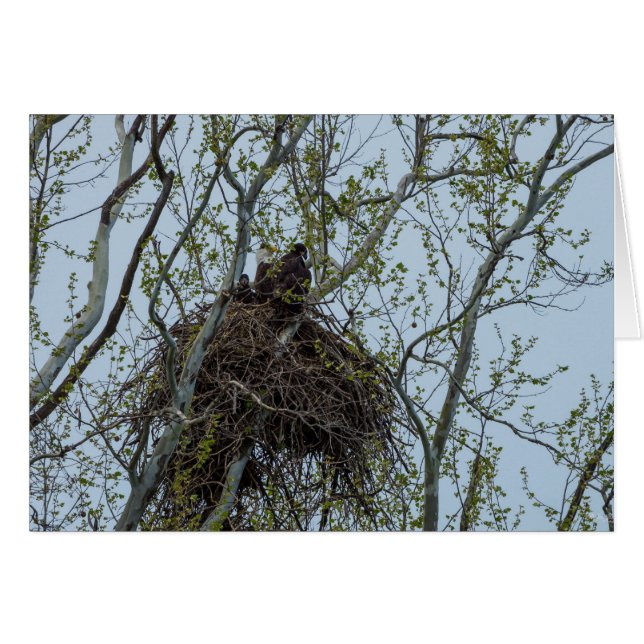 Chaleur avec maman (Devant Horizontal)