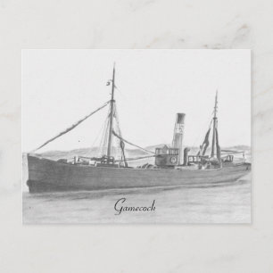 Chalutier à coque - Carte postale Gamecock