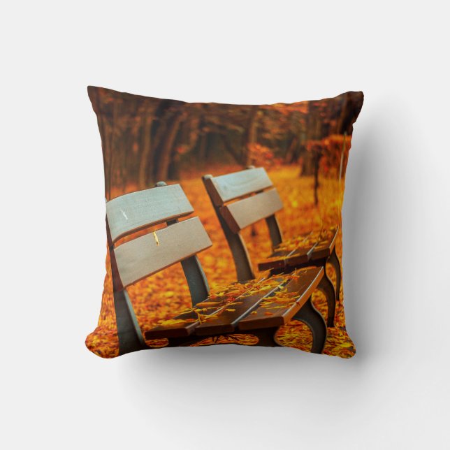 Chambre à coucher ou Coussin de canapé pour l'auto (Recto)