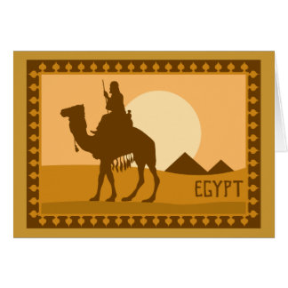 Chameau Egypte