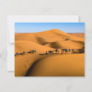 chameaux dans le désert sous ciel bleu