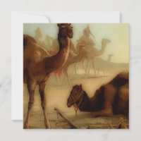 chameaux vintages dans le désert