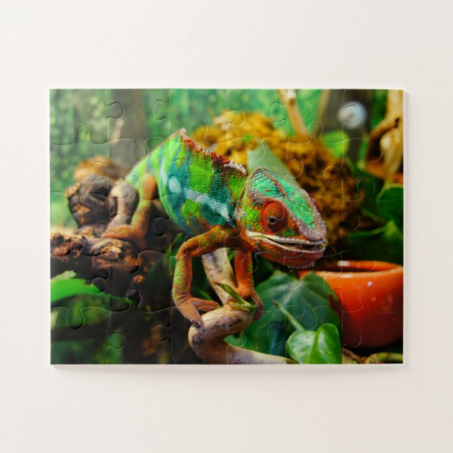 Chameleon Puzzle (Horizontal)