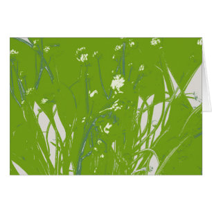 champ camomille vert